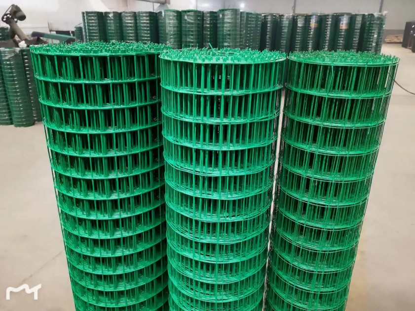 延平荷兰网
